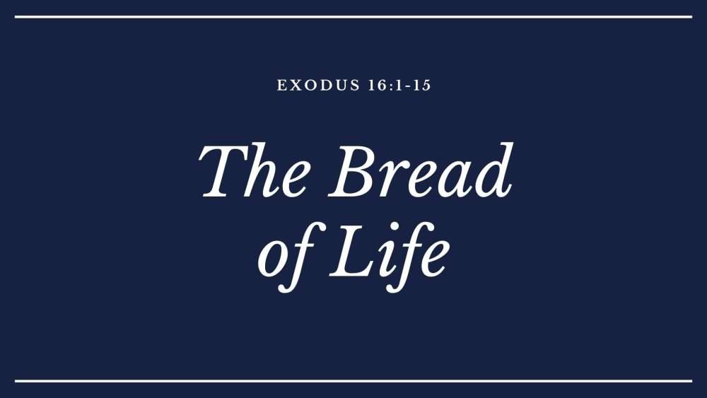 The Bead Of Life 